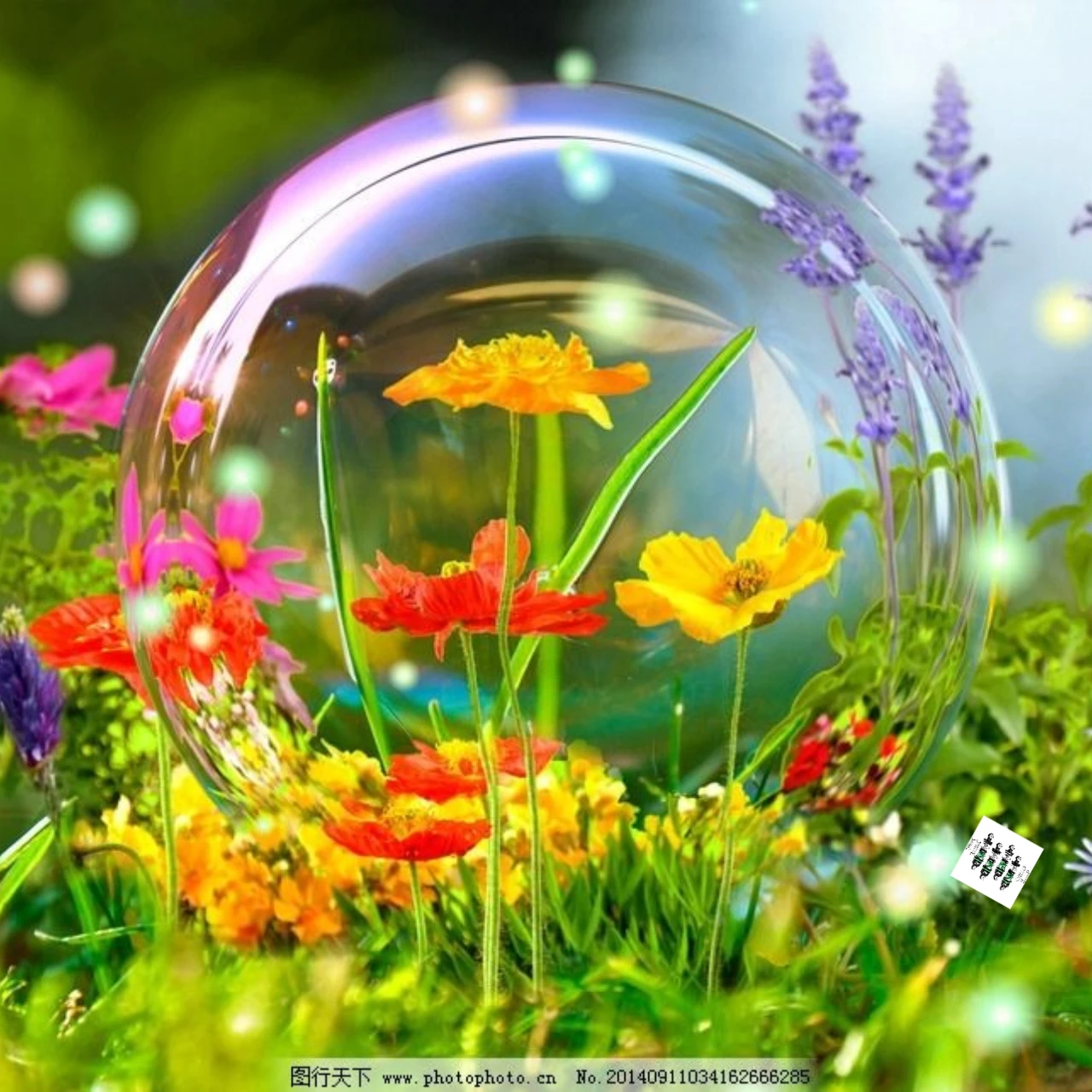 GPM Alloy 6061 Front (32mm)  & Rear (36mm) Shock Set LOSI 1/24 Micro-B / Micro-T