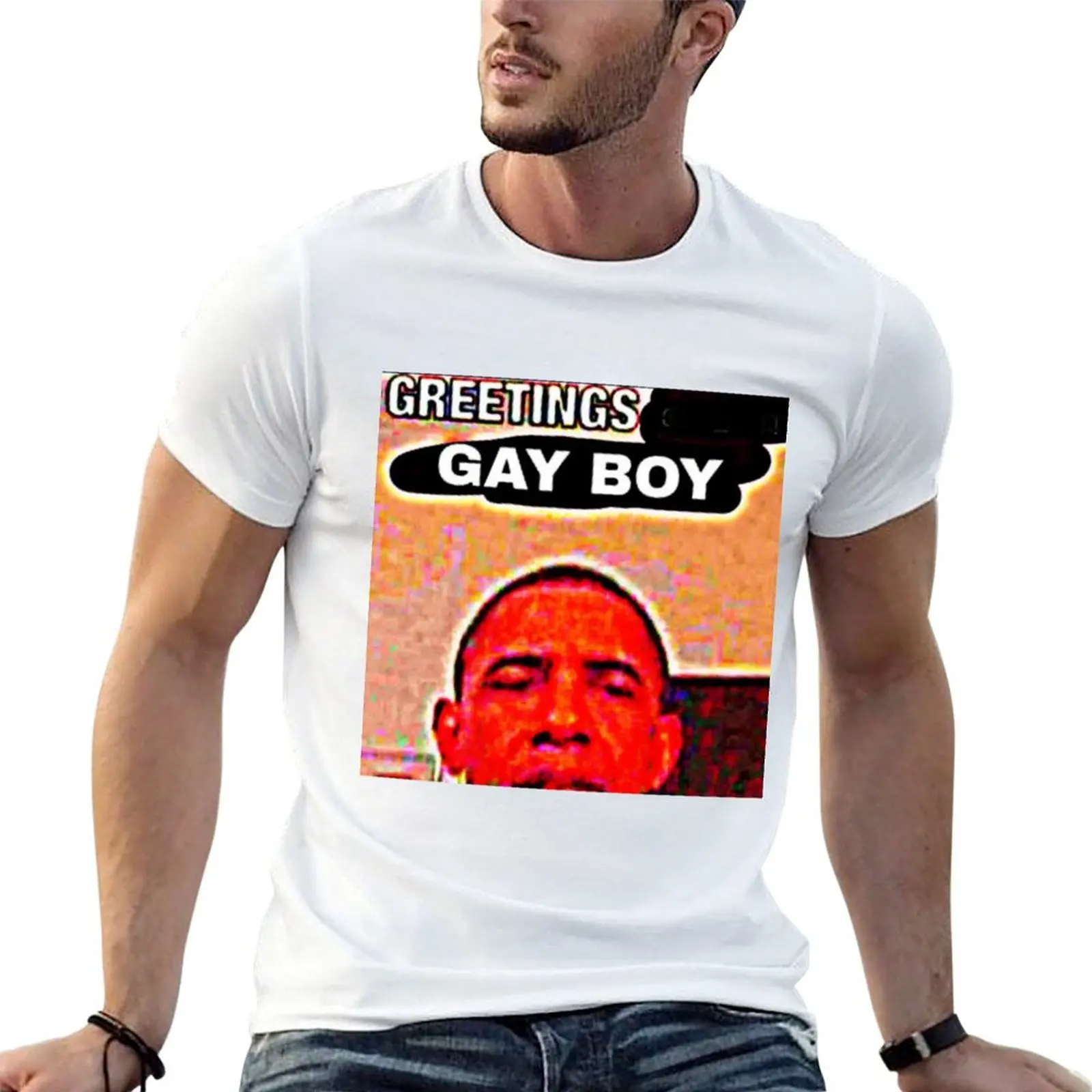 Greetings, Gay Boy Deep Fried Meme Shirt T-Shirt Standard Fit Solid Tee Shirt