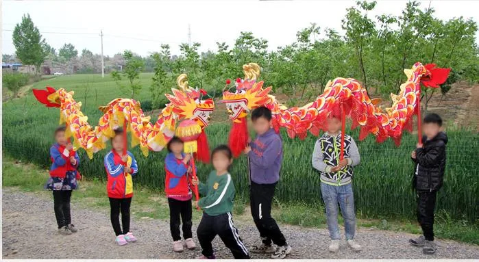 

5.5m Silk Dragon Dance size 6 Kid 6 Player 3-8 Age Children School Performance Party Event New Year Parade Folk Stage China