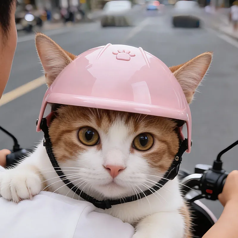 Haustierhelm für Hunde und Katzen, lustiger Motorradhelm, Outdoor-Sport-Sicherheitskappe, modische Haustier-Kopfbedeckung, Zubehör für kleine und mittelgroße Haustiere – Detail 5