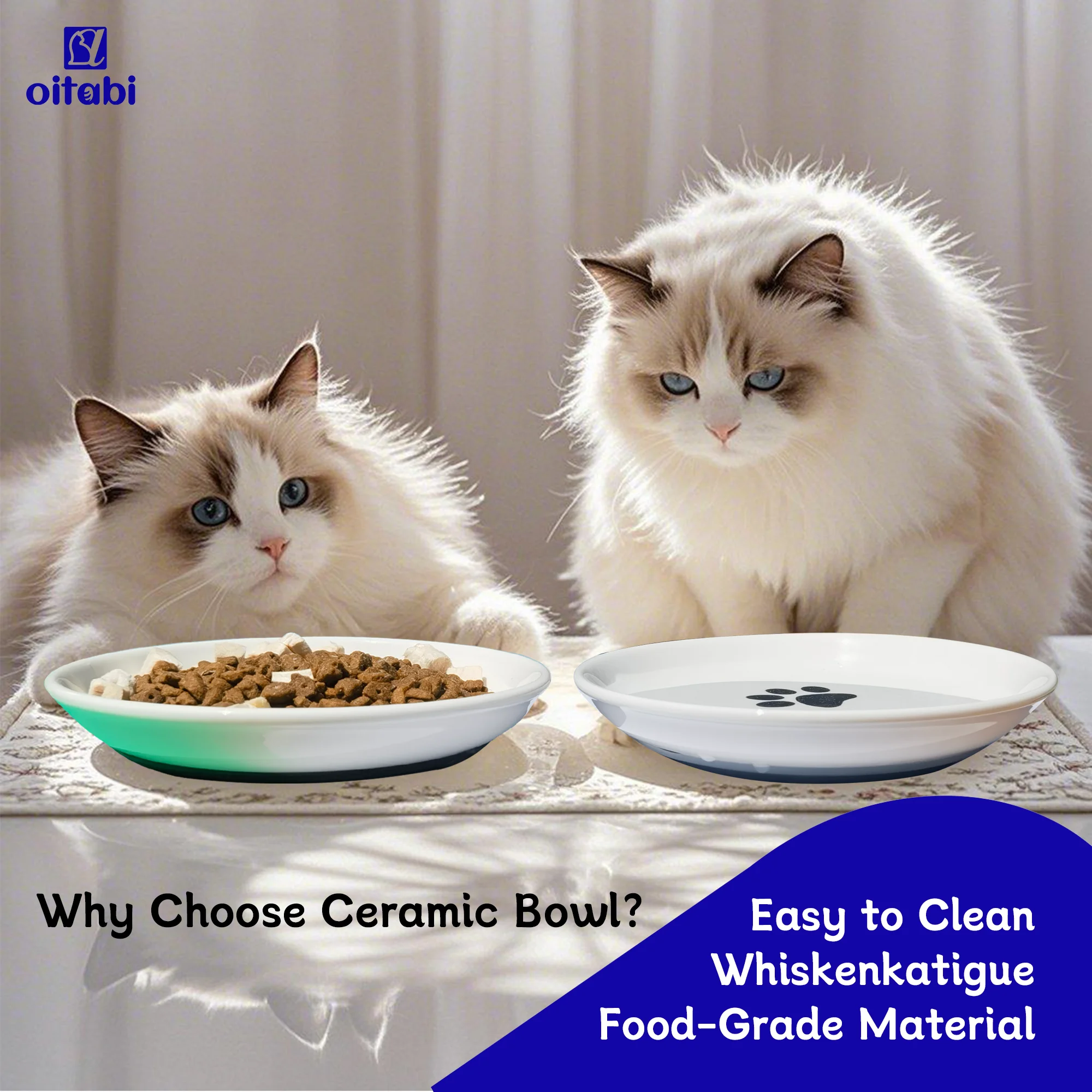 Thumbnail 4 - #10 Pet Bowl Stands Comparison Guide