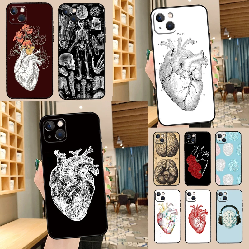 Human Heart Anatomy… - image