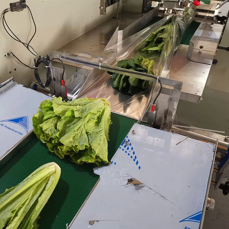 High Speed Flow Pack Machine for Vegetable Fruits Plastic Tray Automatic Pouch Packing Machine Dumpling Samosa Packing Machine