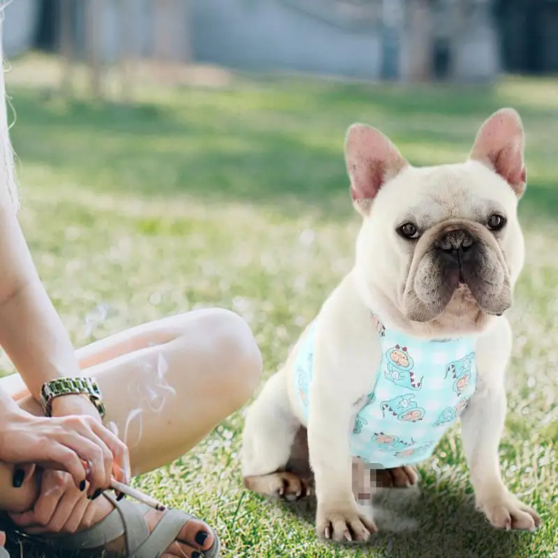 Chemise rafraîchissante anti-coups de chaleur pour animaux de compagnie, glaçure refroidisnoyaux pour chiens, vêtements frais pour chiens, accessoires ronds respirants