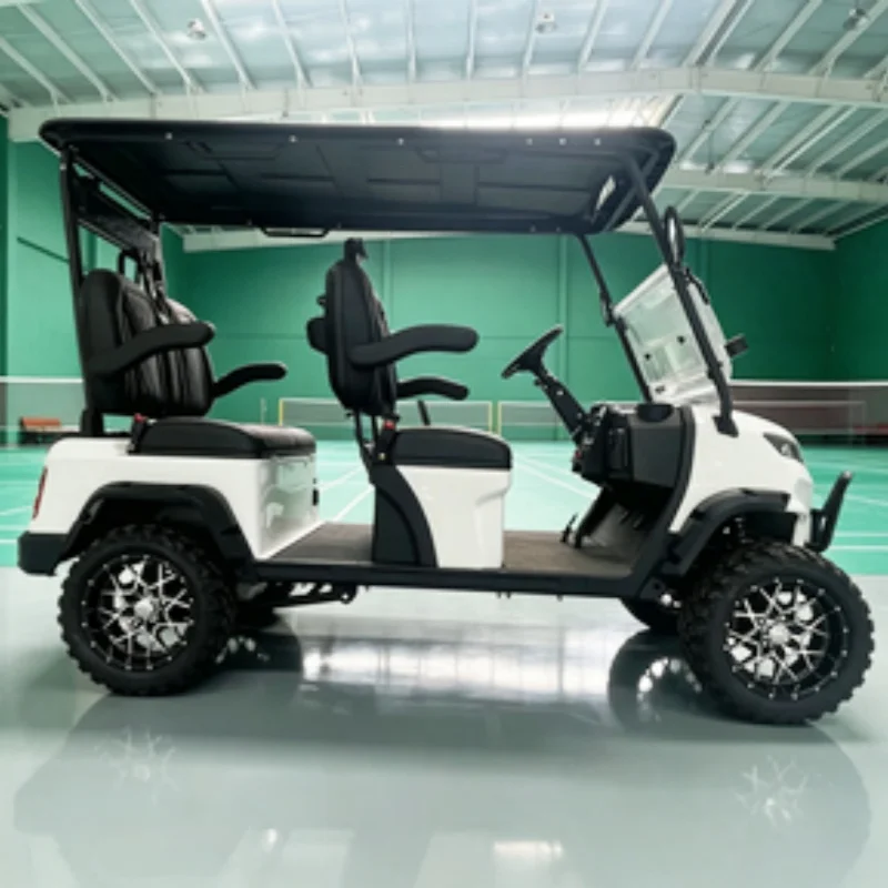 Dylante New 60V 72V Lithium Battery Electric Sightseeing Electric Golf Cart Seats With Armrests Gear Adjustment Bumper Sound Bar