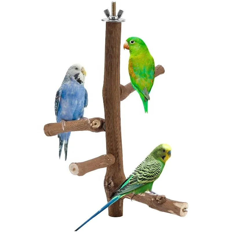 Stand Natural Wooden Parrot Stand Branch Bird Perch