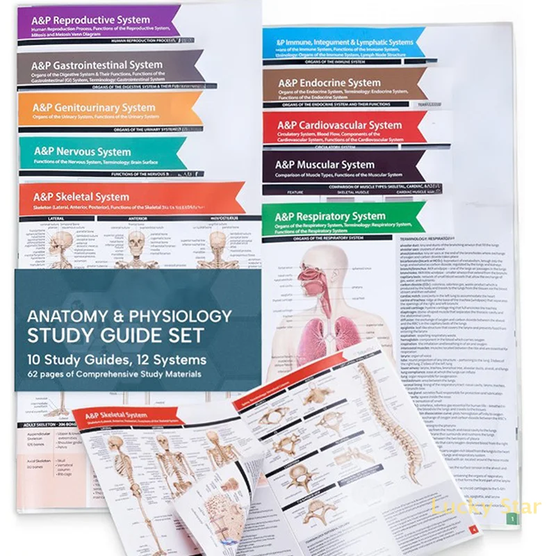 Anatomy & Physiology Study Guides - Set Of 10 Human Anatomy Guides For Nursing Students Medical Professions