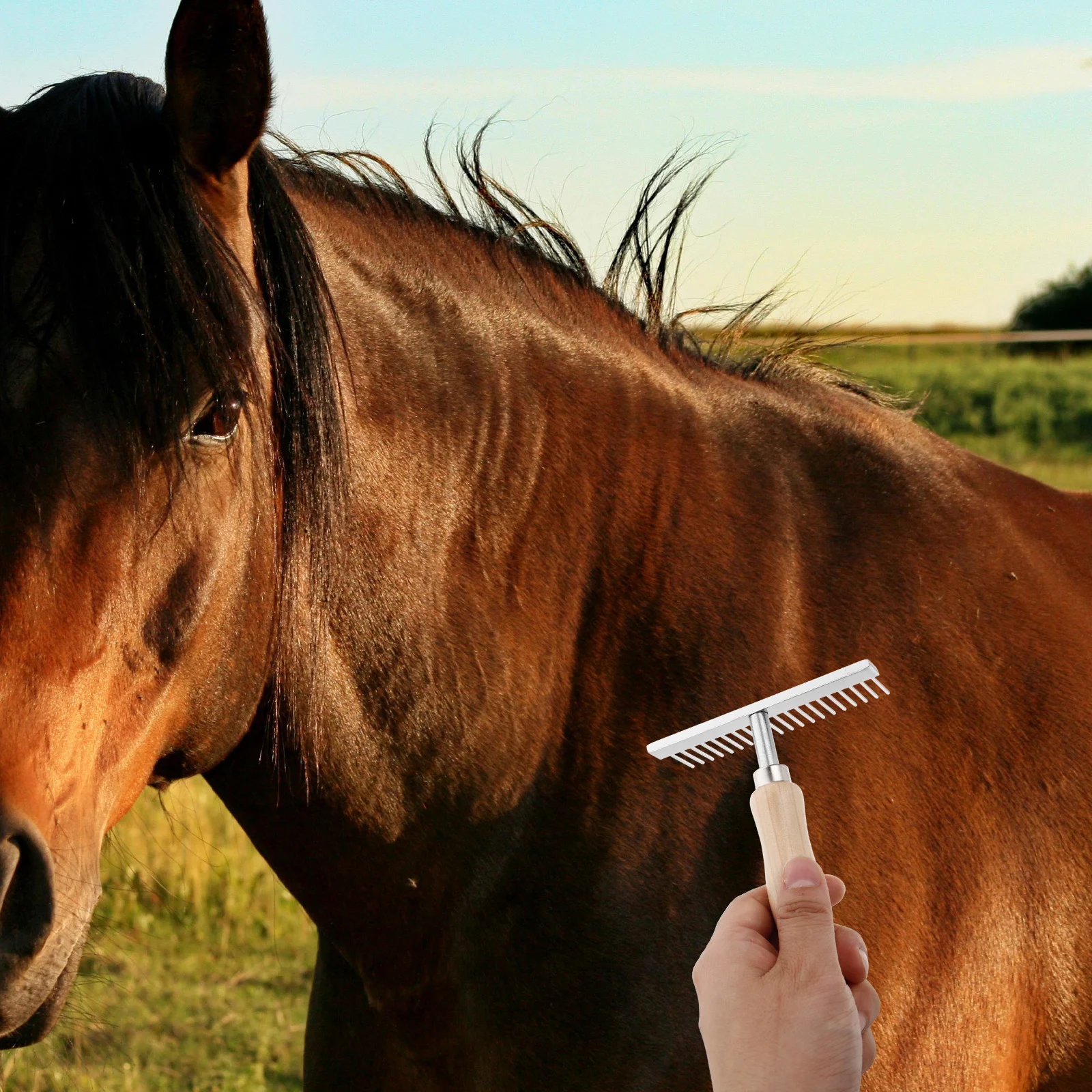 فرشاة إزالة الشعر، مشط من الفولاذ المقاوم للصدأ بمقبض خشبي، أداة تهذيب للحصان والكلاب والبقرة وأداة إزالة الماشية #2