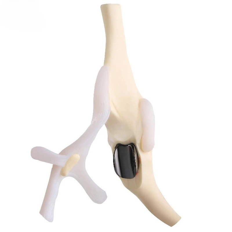 Small Animal  for Dog Canine Patellar Groove Replacement Veterinary nstrument-P/ G/R Plate