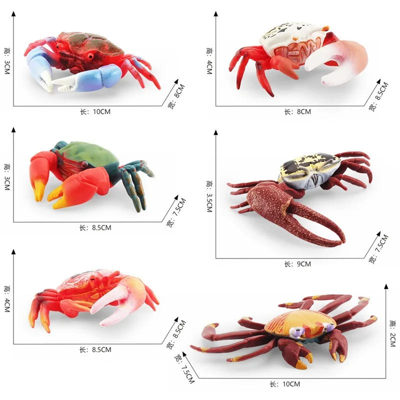 Simulazione Kawaii Marine Animal Crab Lobster Action Figures modello Fish Tank Decor corpo marino giocattoli educativi cognitivi per bambini