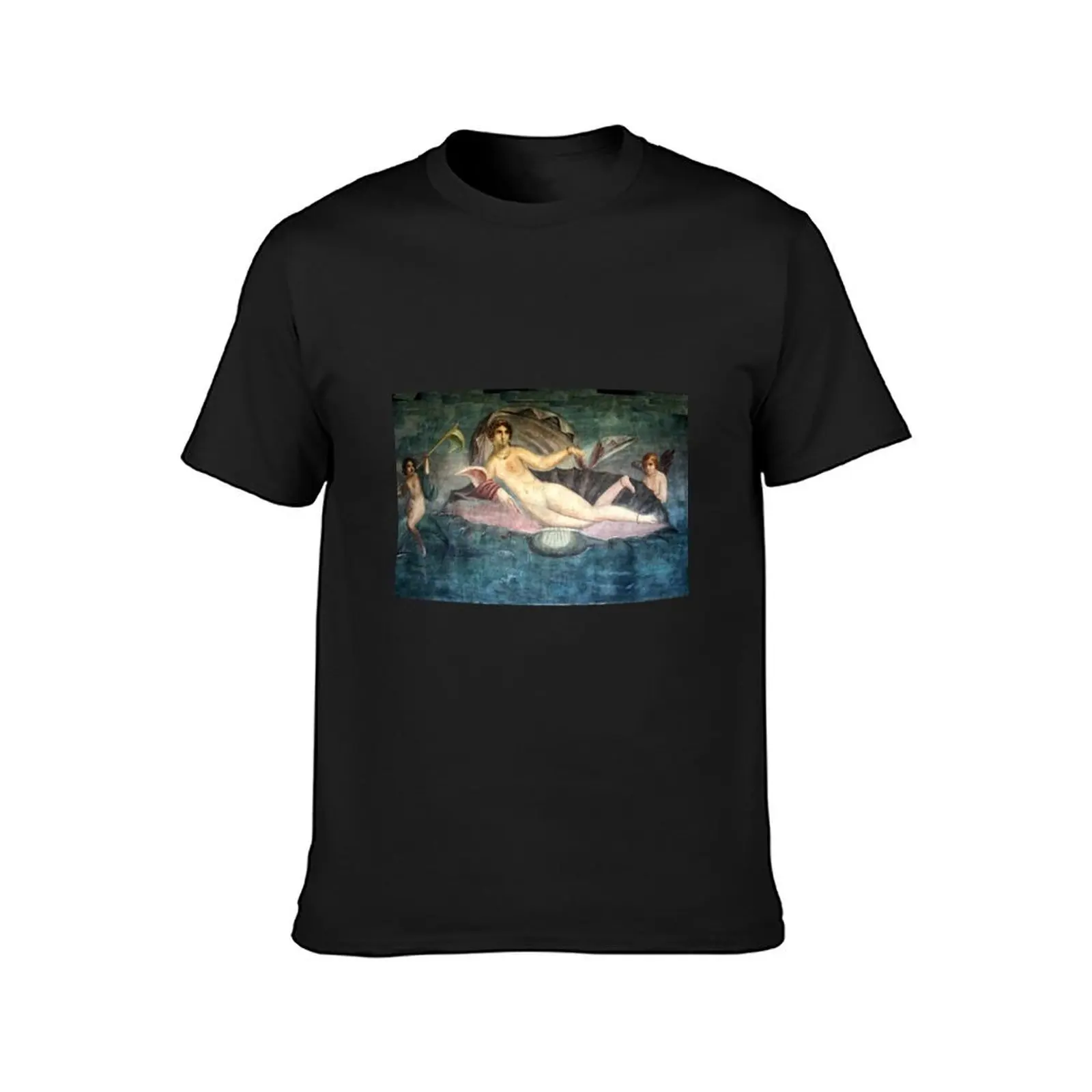 Venus in the Shell - Pompeii T-Shirt Aesthetic clothing sublime Short sleeve tee fruit of the loom mens t shirts