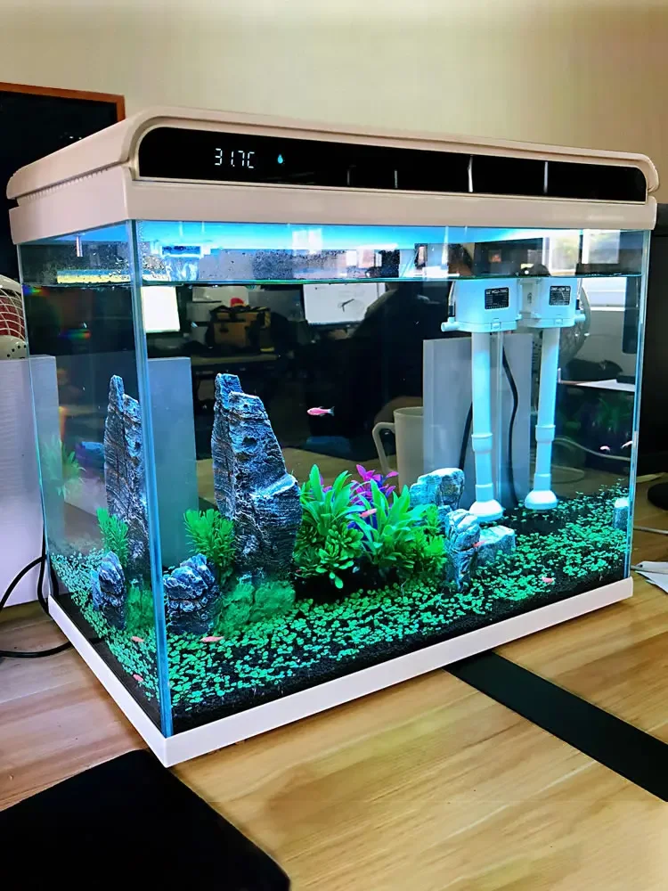 Fish Tank New Living Room Oxygen Filtration All-in-One Machine Small Smart Glass Goldfish Tank Ornamental Fish Large and Small