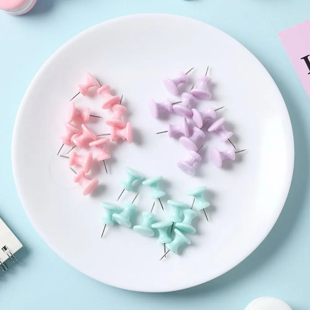 Boxed Macaron Color Pushpin Thumbtac Plastic Small Fresh Board Push Pin Fixing Pin Thumb Tacks Office