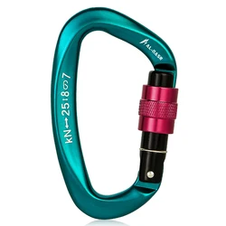 25KN D-shape Professional moschettone vite di bloccaggio cancello moschettone arrampicata Rappelling Gear attrezzatura rapida strumenti EDC per esterni