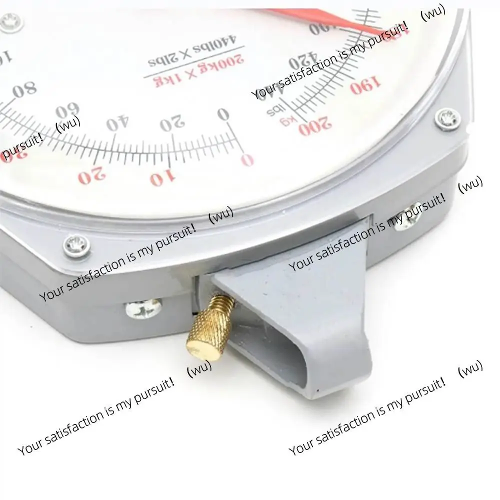25/50/100/150KG mechanical pointer hook scale, alloy