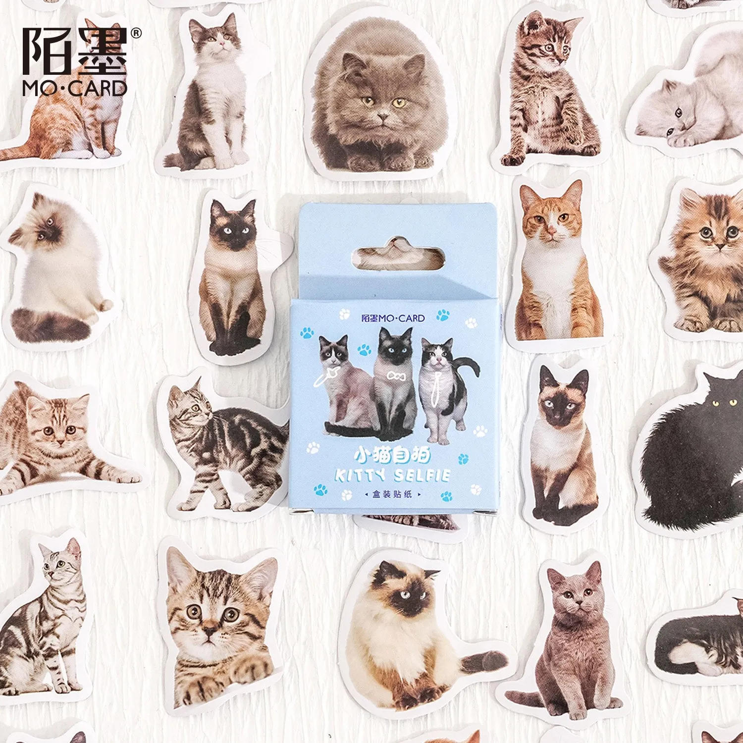 45 Pcs Leuke Kat Stickers Kitty Stickers Decals Voor Kinderen Speelgoed Geschenken Plakboek Ambachten Arts Journaling