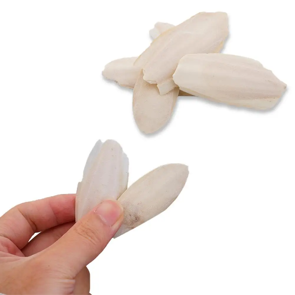 Natürliches Kaulquappenknochen-Kauspielzeug für Papageien, Wellensittiche, Hamster und Kleintiere, zum Zähneputzen, Kalziumergänzung, Vogelzubehör, gesund – Detail 6