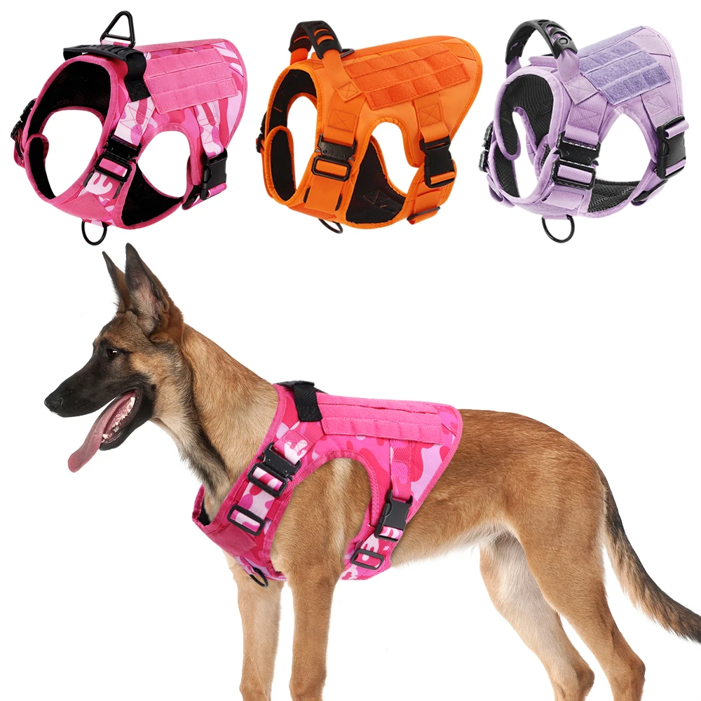 #58 Latest Pet Training Pads Offers