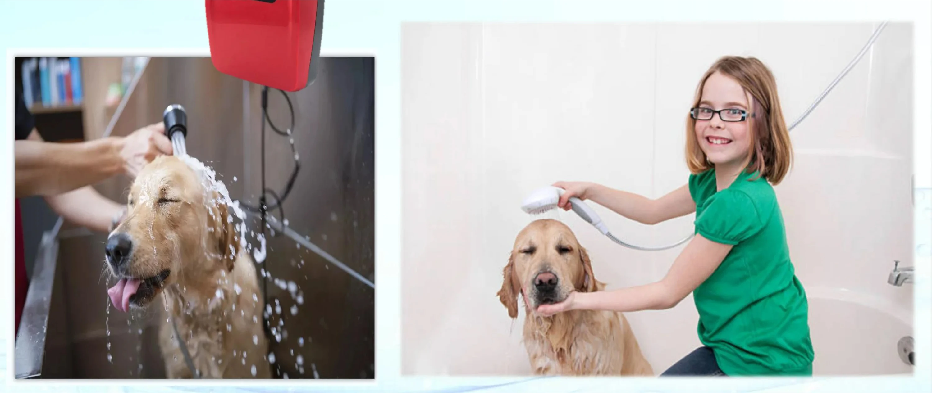 HC-R170 pet ozone dog spa bath Vet dog bath ozone for Dog Shower