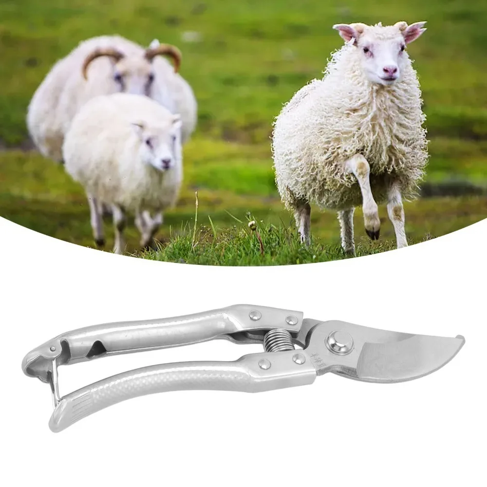Stainless Steel Handle Hoof Trimmers Ergonomic Handle Lightweight Hoof Scissors Bright Color Anti-Slip Pattern