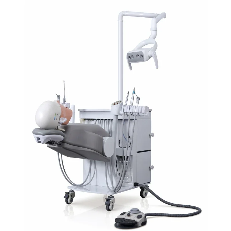 Dental Simulation Model Electrical Simulation Trainer for Students