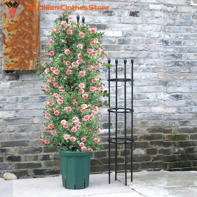 Plant Support Cages for Climbing Plants and Tomatoes