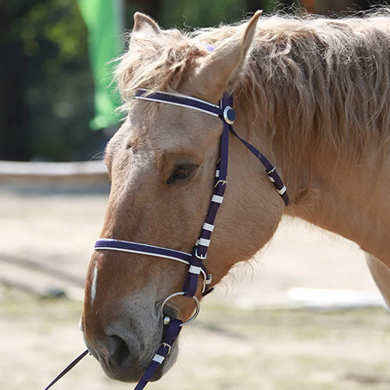 Nuevo caballo Rein personalizado de fábrica, cabestro ajustable, equipo de equitación, brida impermeable de PVC para caballos