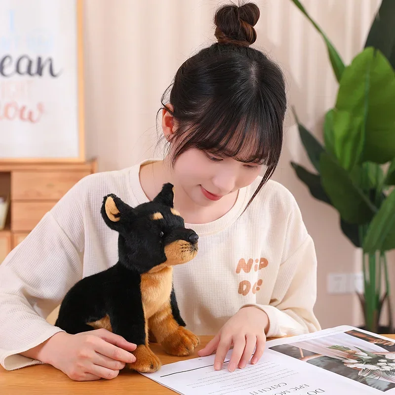 Lifelike Real Soft Brenese Mountain Dog Doberman Pinscher Doggy Sitting Cute Kawaii Pet Plush Toy Boys Girls Appeasing Kids Gift