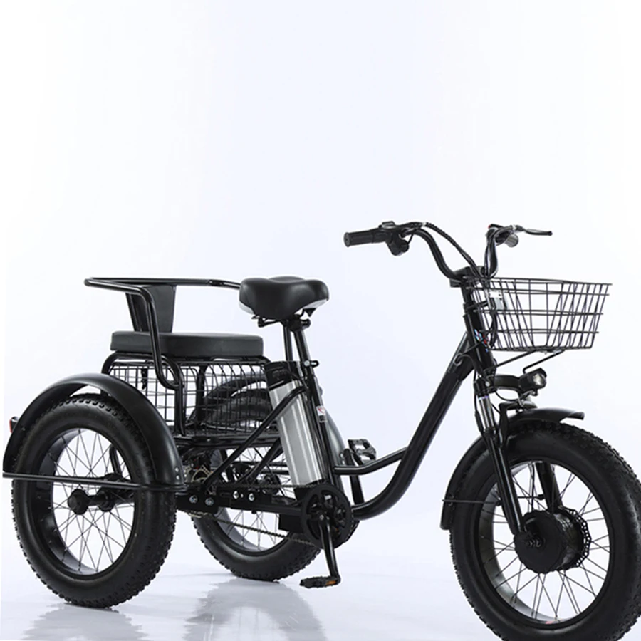 

Joyebikes Adult 3 Wheel Electric Bike Tricycle China 20inch Fat Tire Electric Trike 48V 750W Motor
