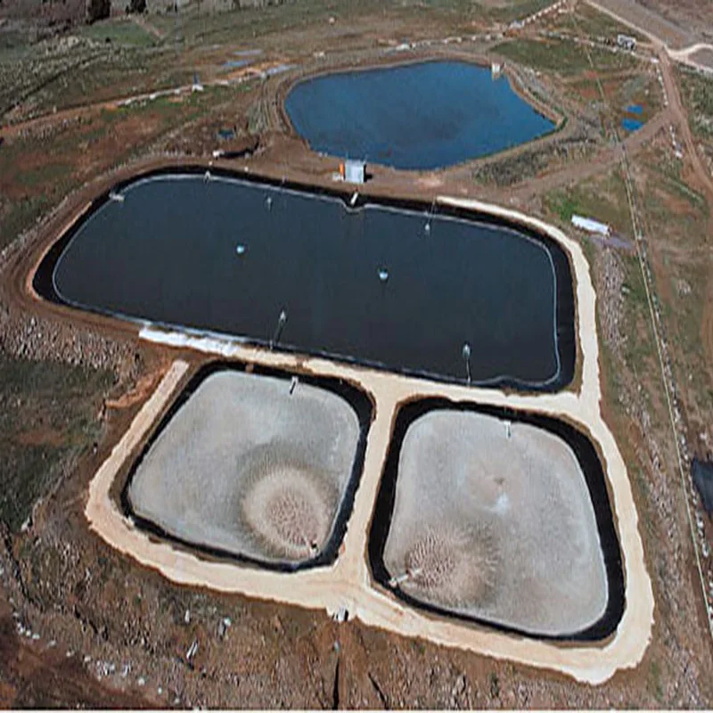 Factory Direct HDPE Geomembrane Pond Liner Custom Specifications for Fish Farm Reservoir Landfill and Mining Use