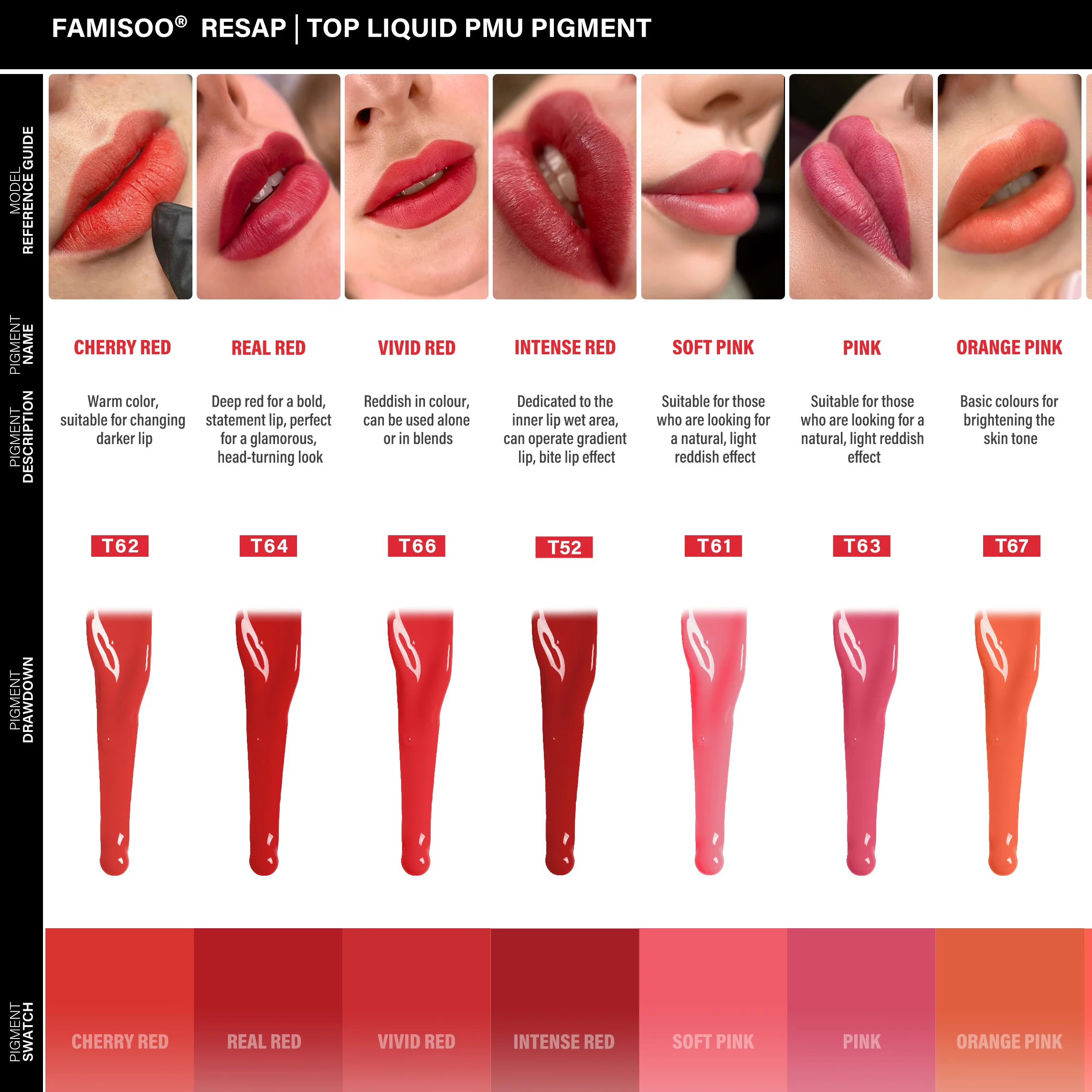 FAMISOO Best selling 5ml Lip Ink Permanent Makeup Pigments Eyebrows Henna Semi Permanent Microblading Latest Tattoo Paint Ink