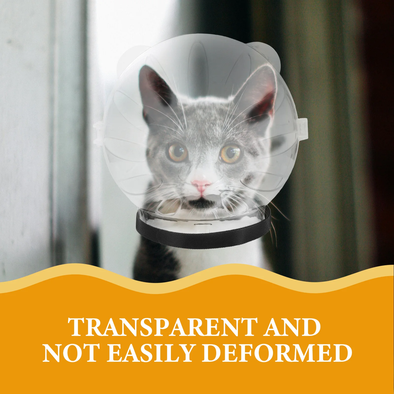 Pet Space Hood Cat Transparent for Dogs after Surgery Outdoor Unique Cats Abs Clear