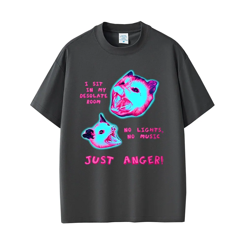 I Sit in My Desolate Room No Lights No Music Just Anger Rat Funny Meme Graphic T-shirt Men Women Casual Humor Vintage T Shirt