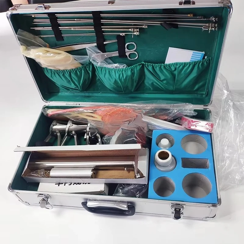 HC-R085 Cow Insemination Kit Cow Vision Artificial Insemination Sheath Kit