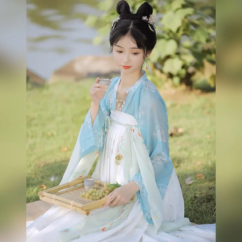 Hanfu Chinese Traditional Costume Ancient Women Dress Chiffon Cardigan Top Skirt China Clothes Set Cosplay Summer Jacket Hanfu