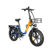 Ridstar MN20 Electric Bike 1000W48V20AH 20inch Fat Tire Folding Ebike Mountain Snow 7Speed Woman City Road Bike Electric Bicycle