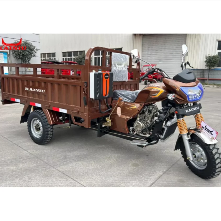 2026 New Cargo Tricycle 3 Wheel Open Body Heavy Duty Motorized Utility Vehicle for Adult Farm Warehouse Delivery