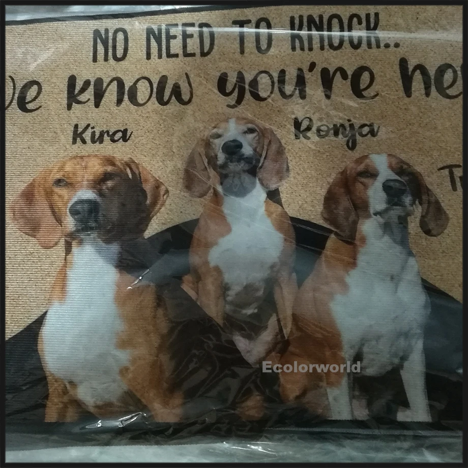 Felpudo personalizado con foto de perro, Felpudo con Nombre de mascota, alfombrillas de suelo para puerta de pasillo, alfombra, accesorio de