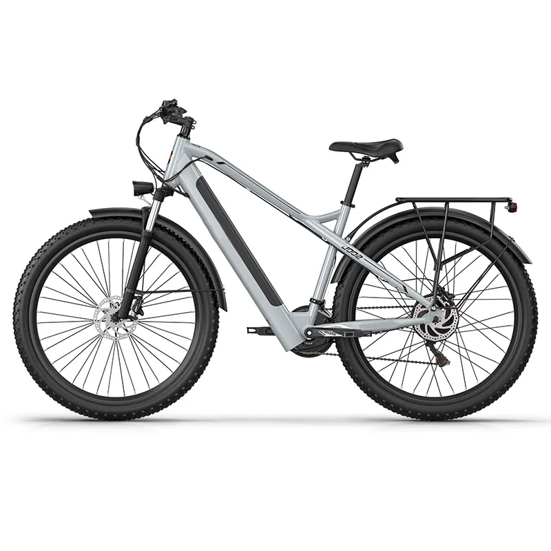 Adult Electric Bicycle 1000W motor 48V 16Ah Battery Dual Suspension  E-Bike 29*2.25 Tire Highway city ​​commuting Electric Bike