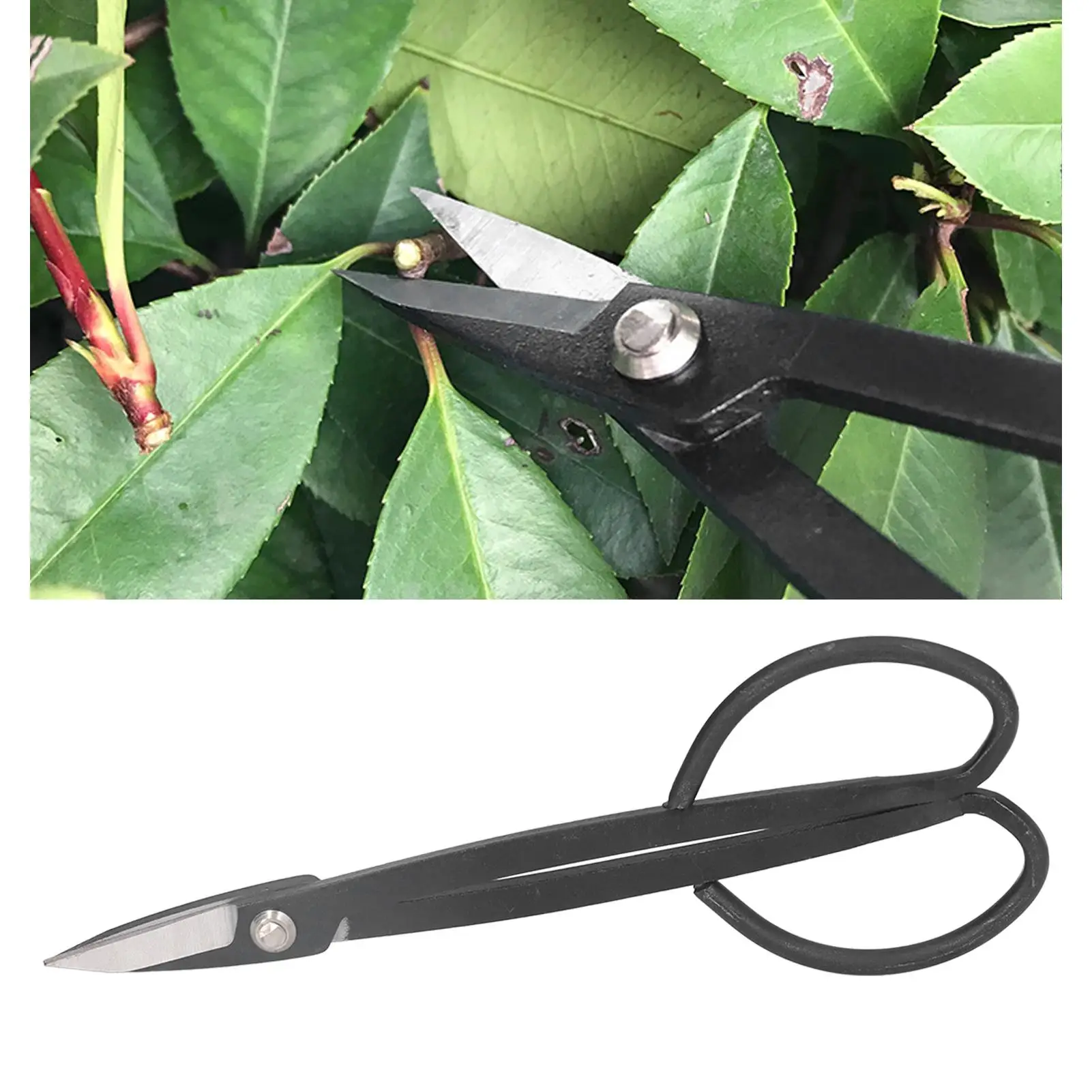 200mm Bonsai Scissors - Precision Clean Cut Shears for Gardening & Floral Arrangements