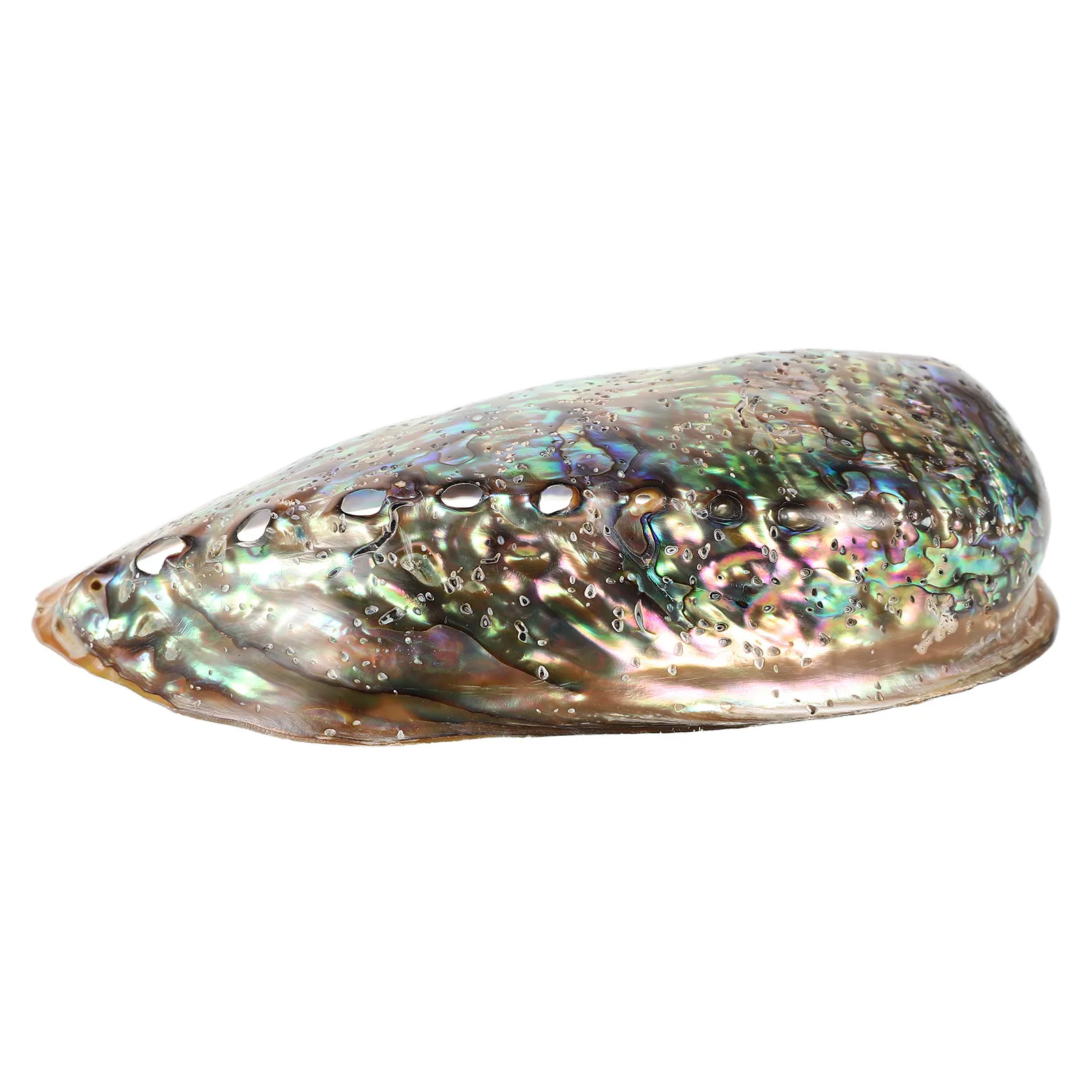 

Натуральные подвески из раковин морского ушка 10-12 см с ослепительным блеском для изготовления ювелирных изделий своими руками: для ожерелий, серег, брелоков, для свадеб и вечеринок