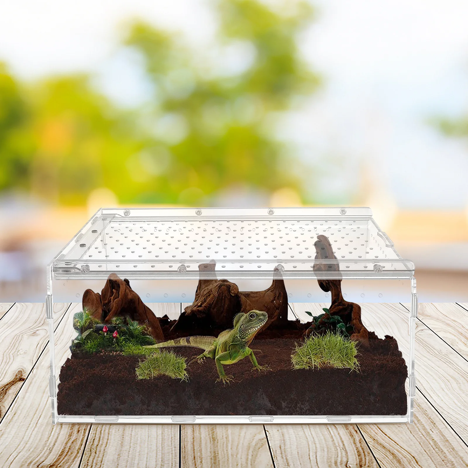 

Террариум для рептилий: прозрачный акриловый контейнер для разведения, кормления и проживания ящериц, гекконов, змей.