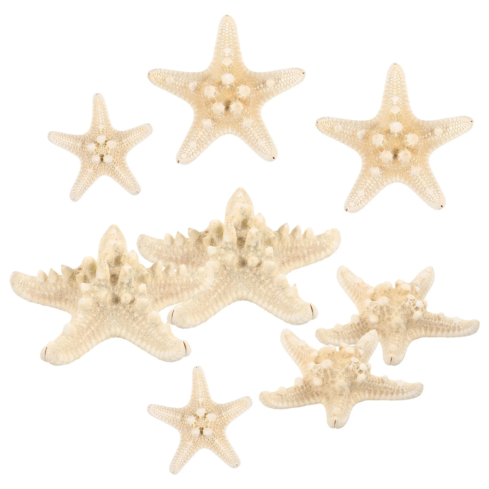 8 Pcs Ornaments Sea Creature Shells for Decoration Sea-star Statue Animals Model Figurine Simulation