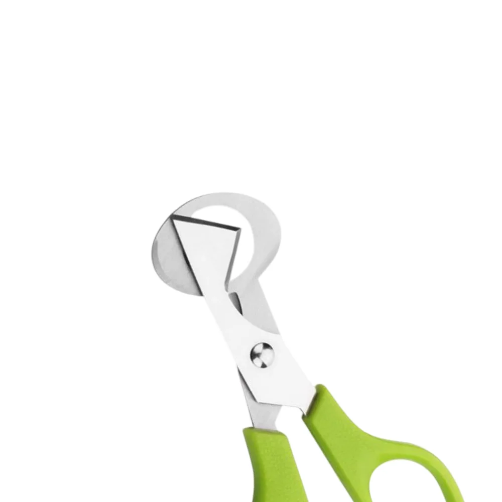 Tijeras universales para huevos de codorniz, cortadores duraderos resistentes al óxido, herramientas de cocina multifunción, tijeras para abrir huevos de pájaros