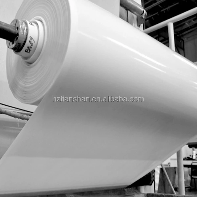 

Factory wholesale withstand multiple sterilization wide 270MM Hydrophilic PVDF Membrane Rolls Filter