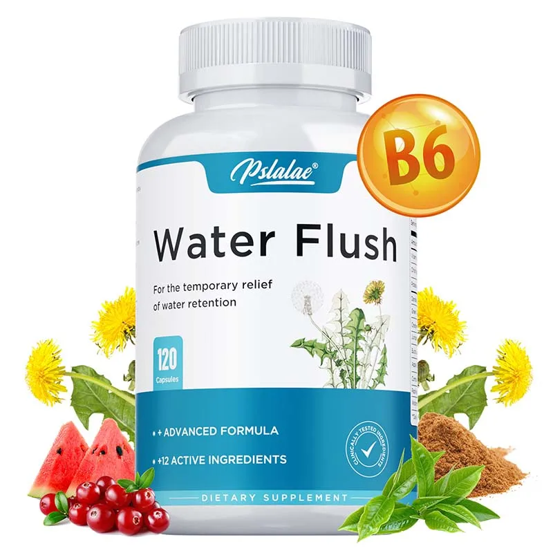Infusión de Té Verde y Arándanos - Limpia, Reduce la Hinchazón, Promueve la Salud del Tracto Urinario, Control de Peso