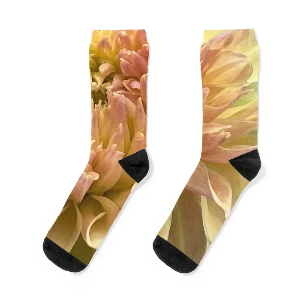 

Pink & Yellow Macro Dahlia Flower Socks custom sports anti slip football Antiskid soccer Socks Women Men's