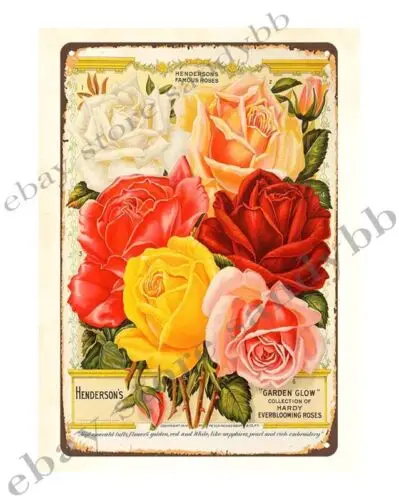 1pcs 1914 Henderson, Peter & Co Garden Glow Hardy Everblooming Roses metal tin sign