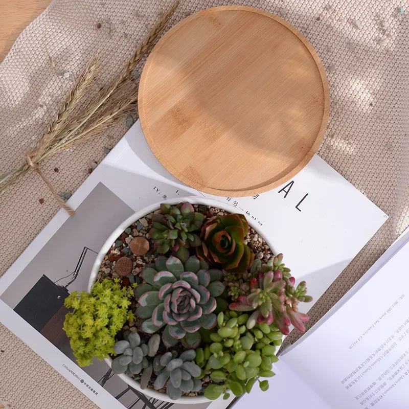 Round White Ceramic Succulent Planter Pot Decorative Cactus Plant Pot Flower Container with Bamboo Tray Home Office Decoration