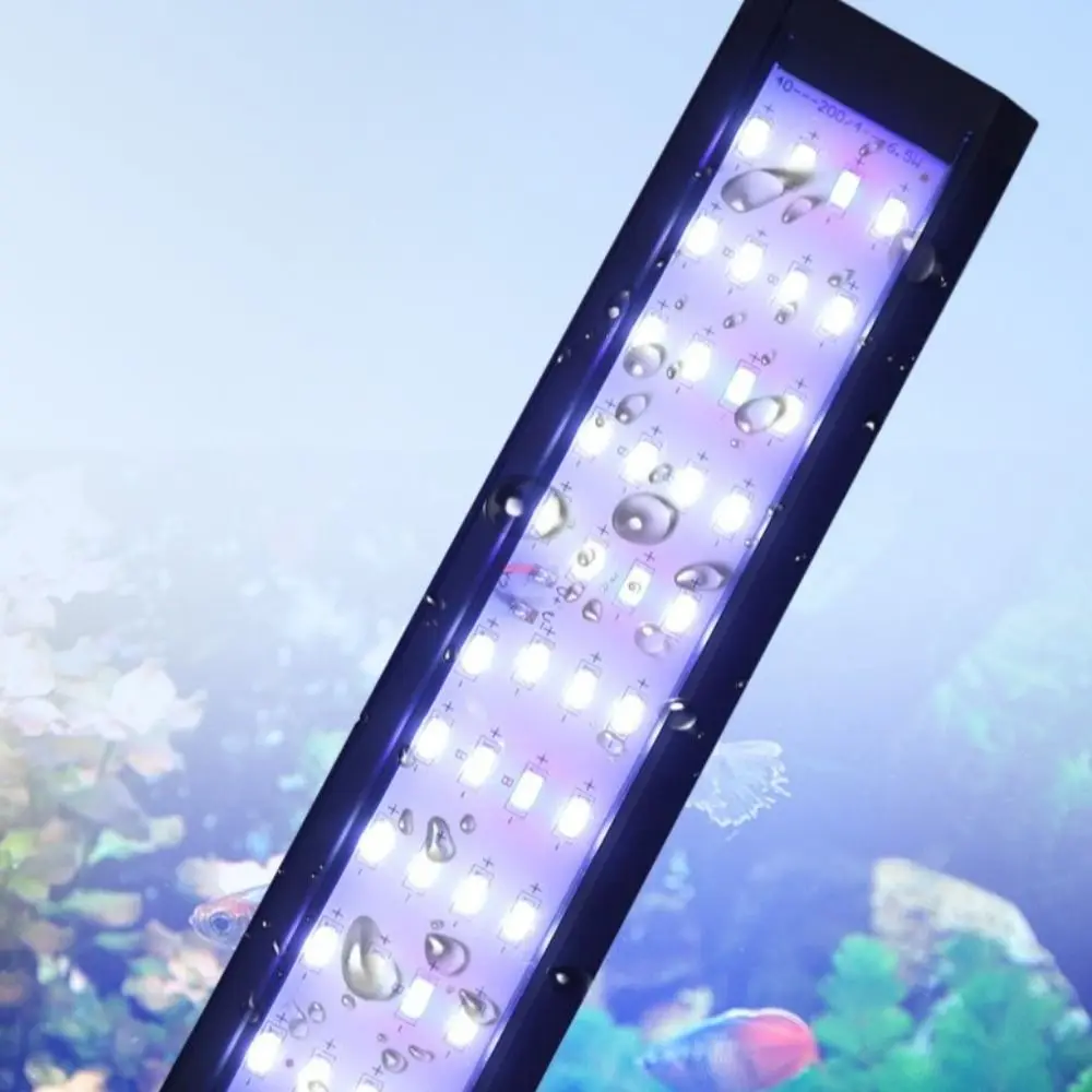 Practical 7W Fish T…